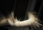 Suspended Fiber Sculpture | Sculptures by Charlotte Blake. Item composed of wood and cotton in contemporary or modern style