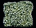 Frozen vegetable series | Photography by Chris Becker. Item composed of paper