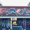 Freestyle Graffiti | Street Murals by SRIL ART