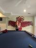 USC Gamecock Wings | Murals by Christine Crawford | Christine Creates. Item made of synthetic