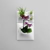 Modern Wall Planter Set of 4 White - Living Wall Art - Node | Plant Hanger in Plants & Landscape by Pandemic Design Studio. Item made of ceramic works with minimalism & modern style