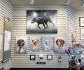 Fur & Feathers Show | Oil And Acrylic Painting in Paintings by Paws By Zann Pet Portraits | Art 10 Gallery in Nanaimo. Item made of canvas