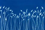 Spring Wild Flowers (16 x 24" Original Cyanotype on Paper) | Prints in Paintings by Christine So. Item made of paper compatible with boho and contemporary style