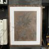 Actinotus | Mixed Media by IRENA TONE. Item compatible with minimalism and eclectic & maximalism style