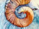 Resilient Ram | Oil And Acrylic Painting in Paintings by Catherine Twomey