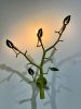 NewGROWTH Sconce | Sconces by CP Lighting. Item made of aluminum works with boho & contemporary style