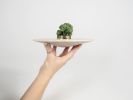 Orbita - 200 | Ornament in Decorative Objects by gumdesign. Item made of brass works with contemporary style