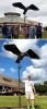 Spoonbill | Public Sculptures by Donald Gialanella. Item composed of steel