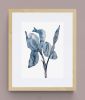 Iris No. 192 : Original Watercolor Painting | Paintings by Elizabeth Becker. Item made of paper compatible with boho and minimalism style