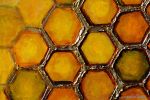 Honeycomb's Architect original oil painting | Oil And Acrylic Painting in Paintings by DaggArt. Item made of canvas