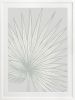 Nobilis Palm - 1 & 2 & 3 - Tide - Framed Art | Prints by Patricia Braune. Item made of canvas & paper