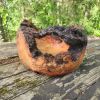 Cherry Burl Open Turning | Decorative Bowl in Decorative Objects by Marks Artisan Woodcrafts. Item composed of wood in art deco style