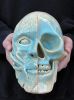 Ceramic Skull | Sculptures by niho Ceramics. Item composed of stoneware in contemporary or coastal style