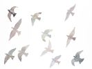 Birds in Flight No. 6 : Original Watercolor Painting | Paintings by Elizabeth Beckerlily bouquet. Item composed of paper in minimalism or contemporary style