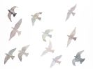 Birds in Flight No. 6 : Original Watercolor Painting | Paintings by Elizabeth Becker. Item composed of paper in minimalism or contemporary style