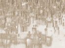 Circa 3816 | Prints in Paintings by Petra Trimmel. Item made of canvas & metal