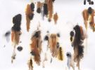 Ulvae I and II. Ink and shellac on paper. | Oil And Acrylic Painting in Paintings by Marieken Cochius. Item made of paper