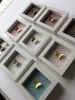 Love Boxes – White Frame | Decorative Frame in Decorative Objects by Lorna Doyan