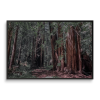 SANCTUARY | A Stroll Among the Redwoods | Fine Art Print | Photography by Jess Ansik. Item made of paper compatible with modern and scandinavian style