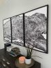 California Giant Redwood Burl *Cropped* Triptych | Prints by Erik Linton. Item composed of paper