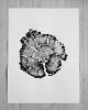 Triptych Alaska, Yellowstone, and the Grand Tetons | Prints by Erik Linton. Item made of paper