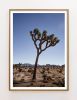 'Transmission', Joshua Tree Photograph (Ltd Edition) | Photography by Daylight Dreams Editions. Item composed of paper compatible with contemporary and southwestern style
