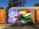 Mural | Murals by Heesco | Bollygum Park in Kinglake. Item composed of synthetic