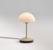 Pensee Table Lamp | Lamps by SEED Design USA. Item composed of steel & glass