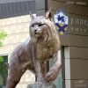 “Wildcat” - Johnson & Wales University | Public Sculptures by Mike Fields Sculptures | Johnson & Wales University - North Miami in Miami