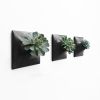 Node M Wall Planter, 9" Modern Plant Wall Set, Black | Sculptures by Pandemic Design Studio. Item composed of stoneware in minimalism or mid century modern style