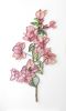 Large-scale Floral on-edge paper art | Wall Sculpture in Wall Hangings by JUDiTH+ROLFE. Item composed of paper in contemporary or modern style