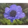 'Shades of Purple' Original Oil Painting | Oil And Acrylic Painting in Paintings by Jenny Stewart's Fine Art. Item made of canvas works with contemporary & country & farmhouse style