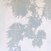 First Light: 36 x 36" Oil Painting | Oil And Acrylic Painting in Paintings by Christine So