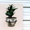Plant Hoop Hanger | Plant Hanger in Plants & Landscape by Boonies Design + Fabrication. Item made of steel