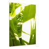 Sunkissed_3602  --  the life-giving energy of nature | Prints in Paintings by Petra Trimmel