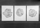 Triptych Alaska, Yellowstone, and the Grand Tetons | Prints by Erik Linton. Item made of paper