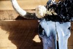 Cow Skull with Flower Crown and Lace | Ornament in Decorative Objects by Gypsy Mountain Skulls. Item compatible with contemporary and country & farmhouse style