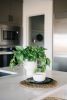 Funnel Planter | Vases & Vessels by The Northern Habitat