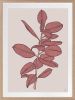 Rubbery Leaf - 1 & 2 - Red - Framed Art | Prints by Patricia Braune. Item composed of paper