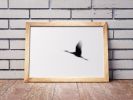 Crane(s) I | Limited Edition Print | Photography by Tal Paz-Fridman | Limited Edition Photography. Item composed of paper in minimalism or country & farmhouse style