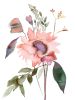 Floral No. 33 : Original Ink Painting | Watercolor Painting in Paintings by Elizabeth Becker. Item made of paper works with boho & minimalism style