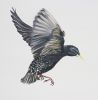 The Rise and Fall No. 19 | Oil And Acrylic Painting in Paintings by Lauren Matsumoto Fine Art | The High Line in New York