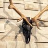 Customized Laced Elk | Wall Sculpture in Wall Hangings by Gypsy Mountain Skulls. Item made of wood compatible with contemporary and country & farmhouse style