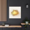 Expansions 21903 | Prints by Rica Belna. Item composed of canvas