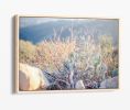 Canyon Sage | Photography by Kara Suhey Print Shop. Item composed of paper