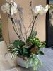 Pure white Orchid arrangement | Floral Arrangements by Fleurina Designs. Item composed of stone