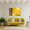 Photograph • Bird Photography, Fall, Autumn, PNW | Photography by Honeycomb. Item made of metal with paper