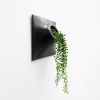 Node M Wall Planter, 9" Mid Century Modern Planter, Black | Plant Hanger in Plants & Landscape by Pandemic Design Studio. Item composed of stoneware in minimalism or mid century modern style