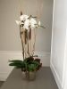 Orchid arrangement | Floral Arrangements by Fleurina Designs
