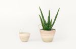 Desert Flower Medium Planter | Vase in Vases & Vessels by MOkun | Bay Area Made x Wescover 2019 Design Showcase in Alameda. Item composed of cotton